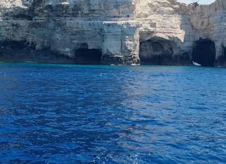 WhatsApp Image 2025-07-02 at 13.04.13_50f06352