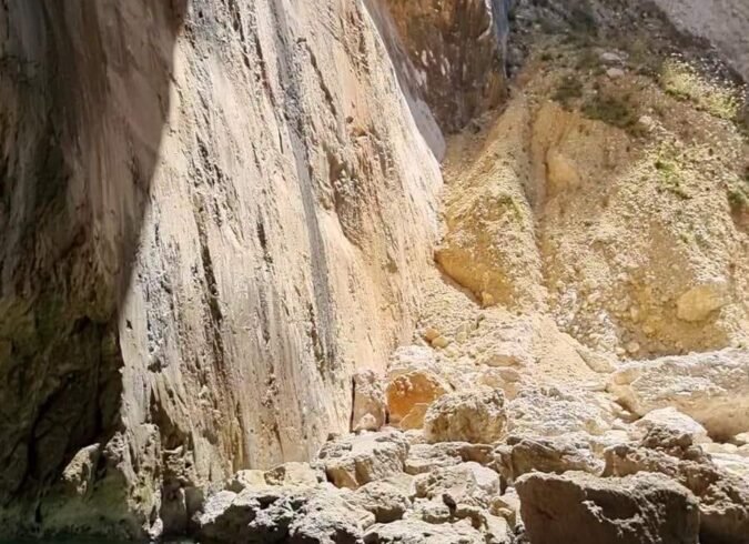 WhatsApp Image 2025-07-02 at 13.04.13_898d50e5