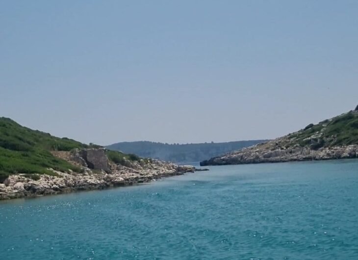 WhatsApp Image 2025-07-02 at 13.04.14_953a5e23